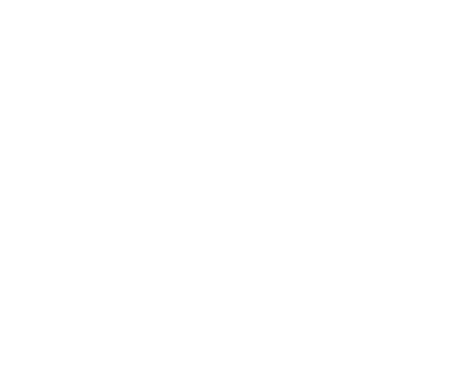 Viktor Torno AI Consulting